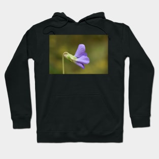 Tiny Purple Flower 22 Hoodie